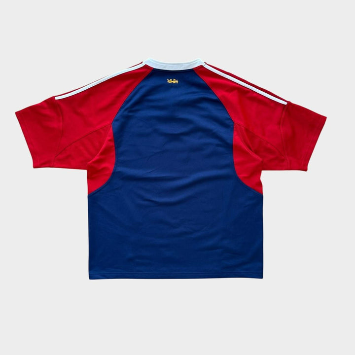 Vintage Lions rugby top - large