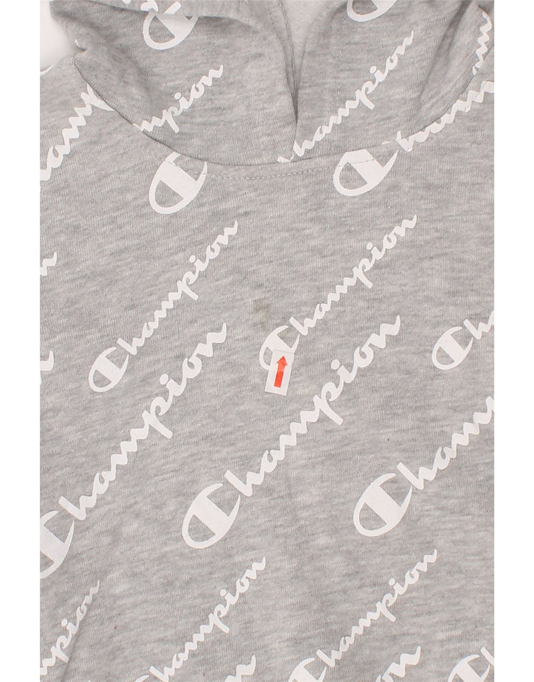 CHAMPION Girls Graphic Hoodie Jumper 5-6 Years Grey Cotton Vintage Champion and Second-Hand Champion from Messina Hembry 