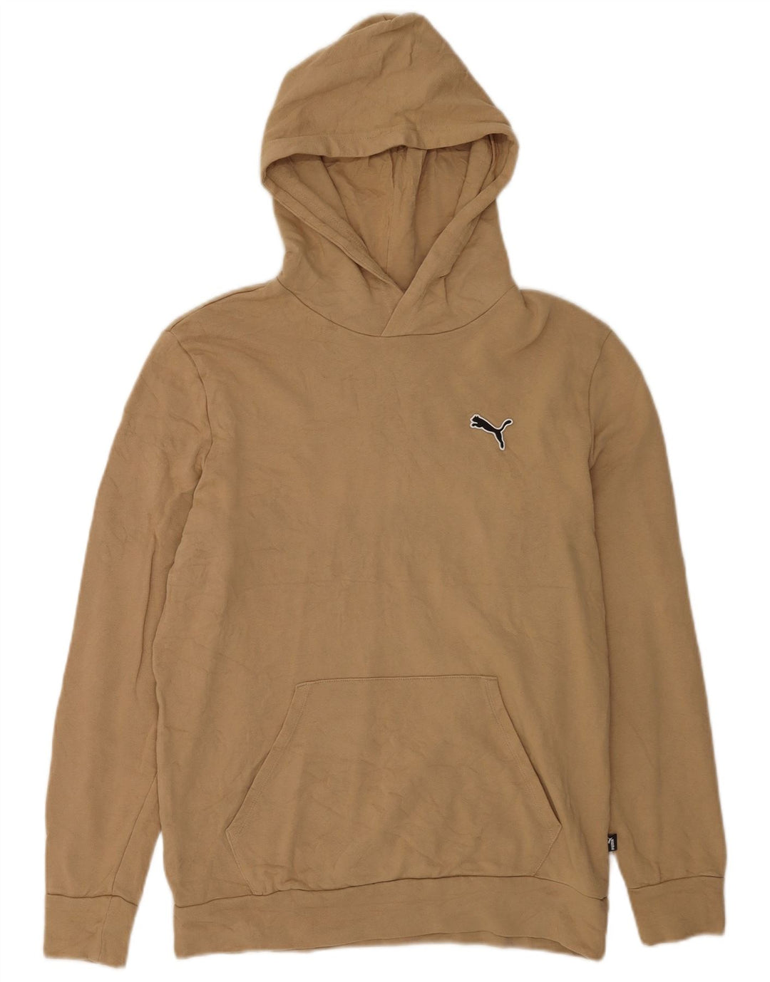 Puma Mens Hoodie Jumper Medium Beige