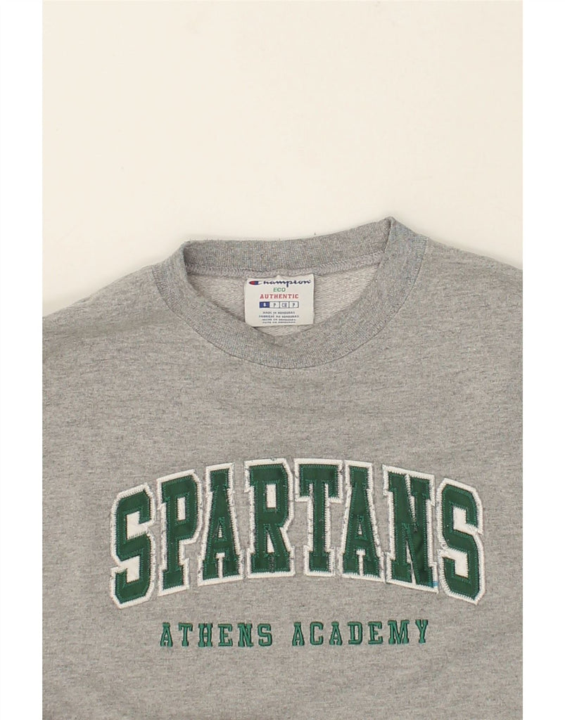 CHAMPION Mens Spartans Graphic Sweatshirt Jumper Small Grey | Vintage Champion | Thrift | Second-Hand Champion | Used Clothing | Messina Hembry 