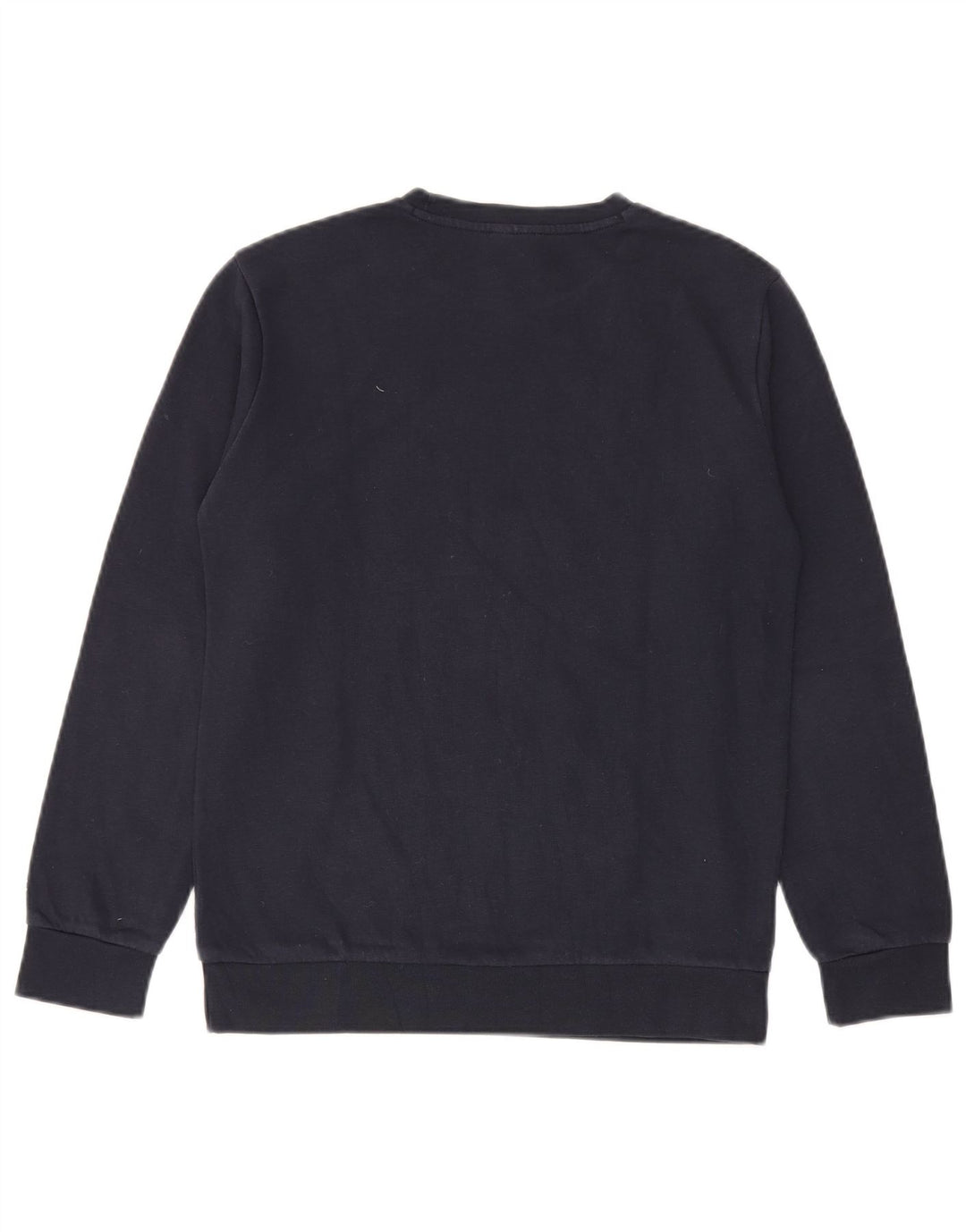 Champion Boys Graphic Sweatshirt Jumper 13-14 Years XL Navy Blue