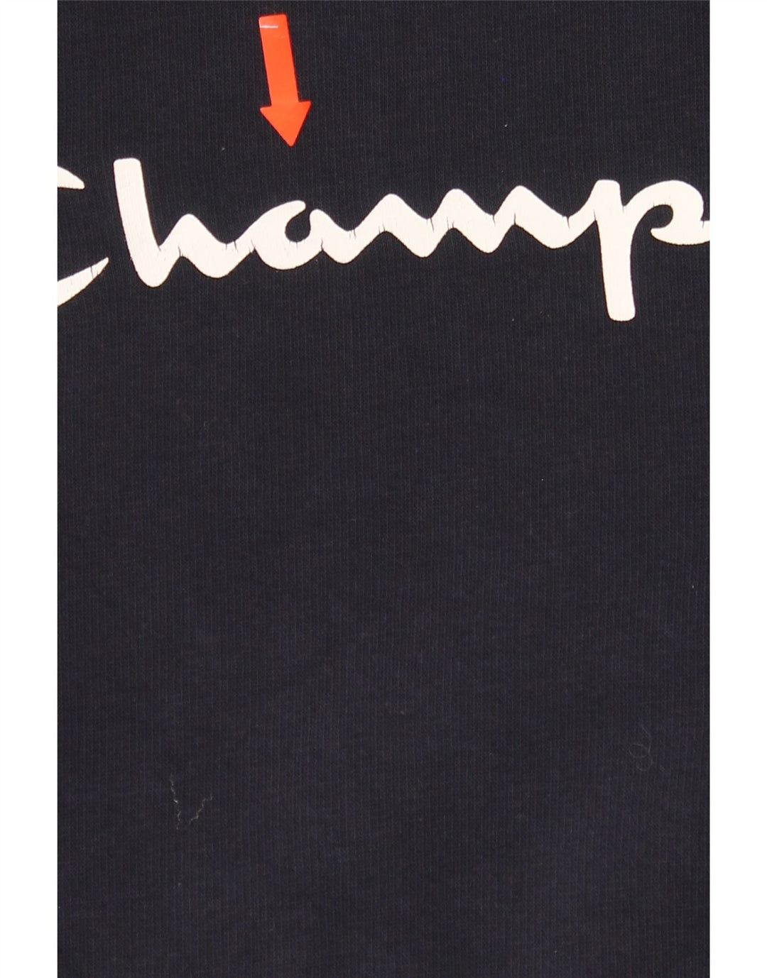CHAMPION Mens Graphic Hoodie Jumper Medium Navy Blue Cotton Vintage Champion and Second-Hand Champion from Messina Hembry 