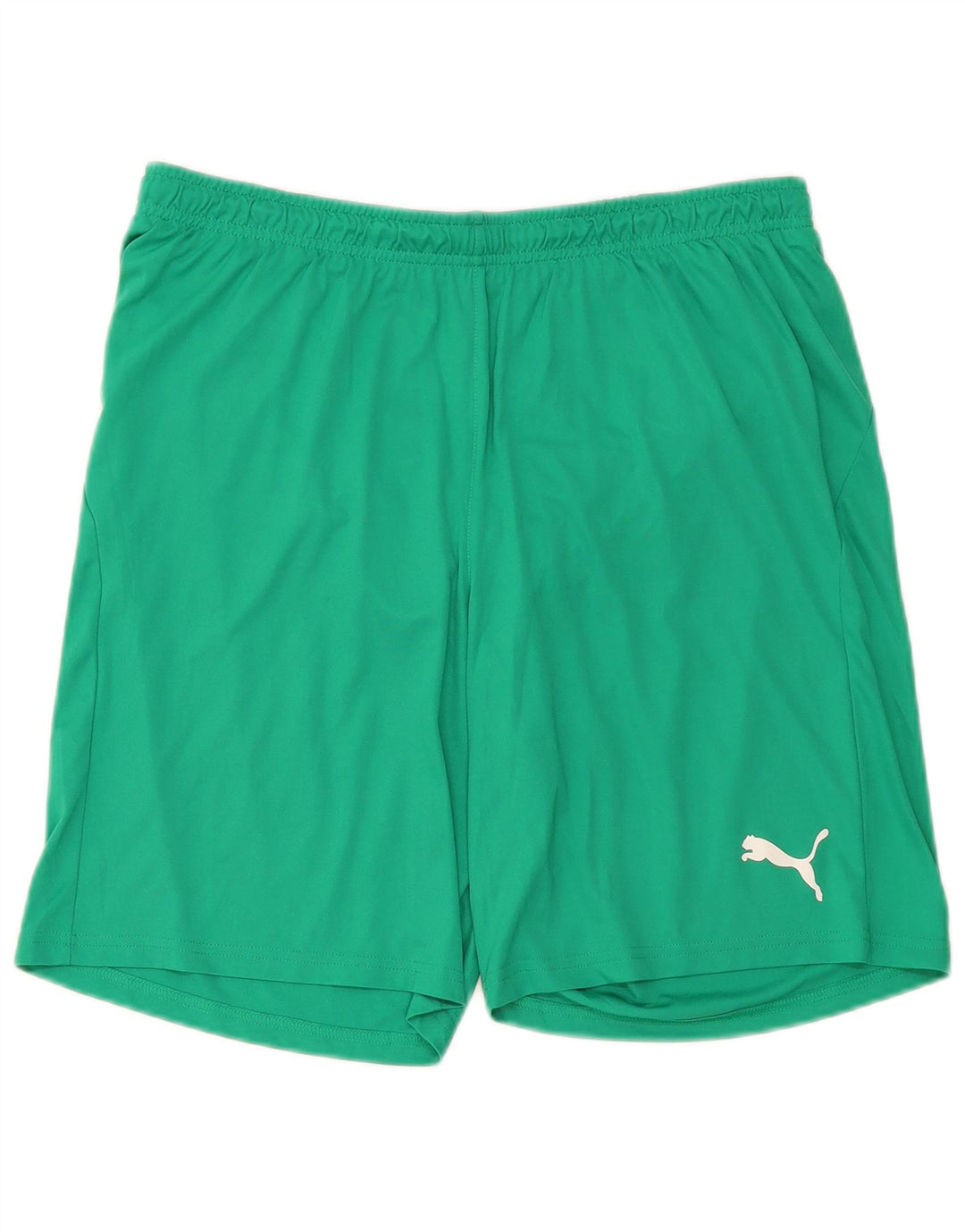 Puma Mens Sport Shorts Large Green Polyester