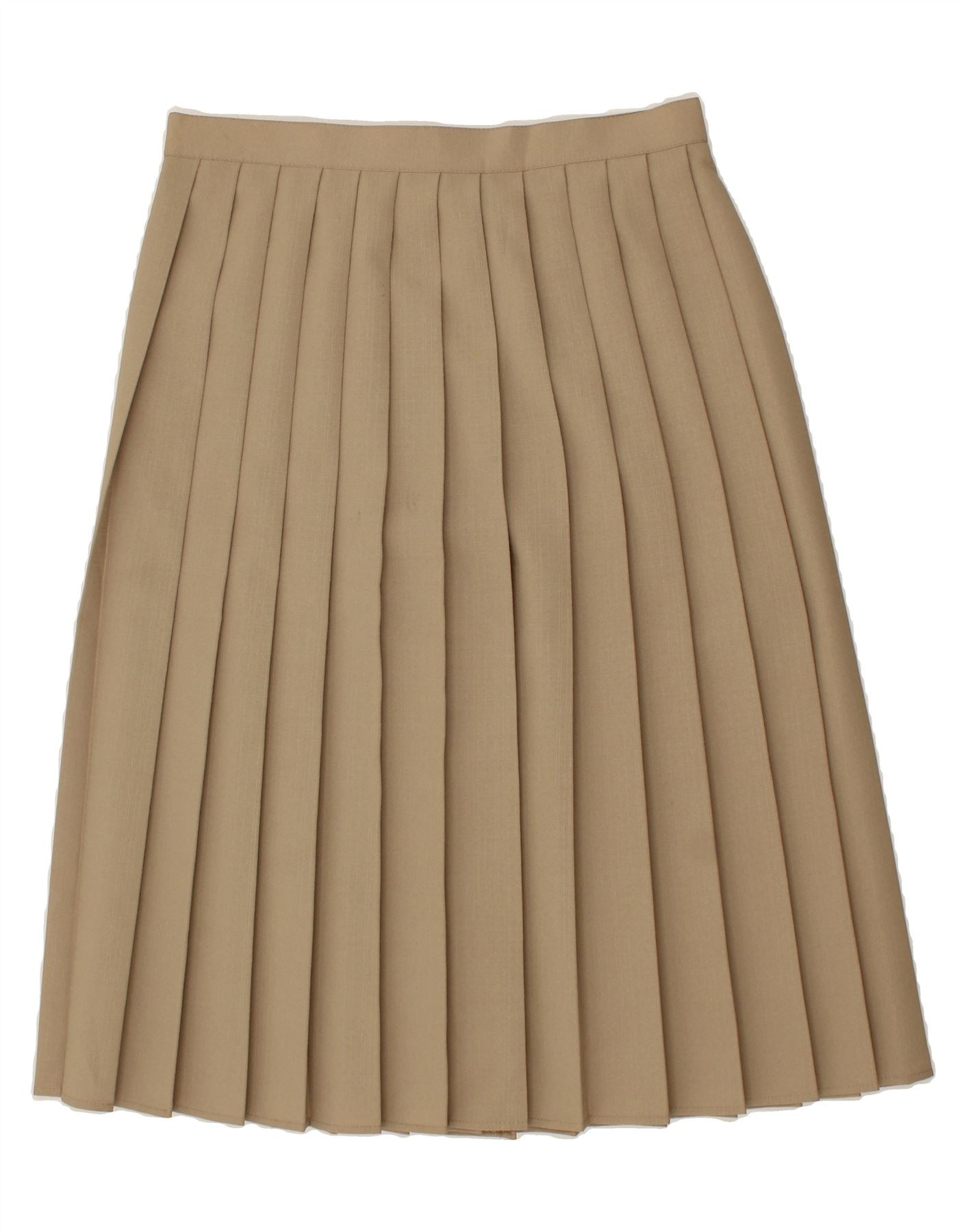 Pleated skirt xl hotsell