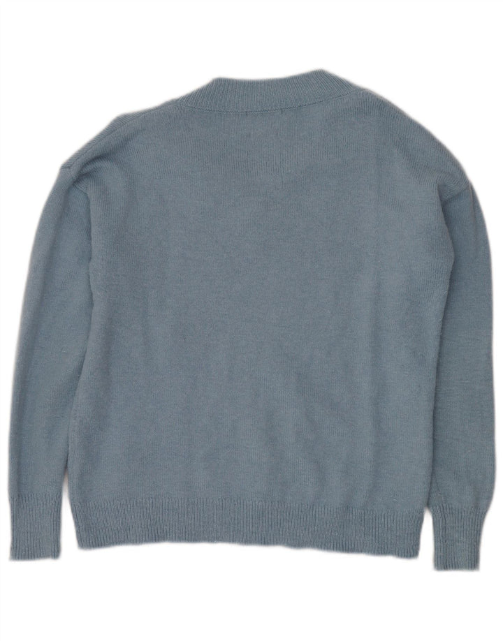 Massimo Dutti Mens V-Neck Jumper Sweater Small Blue