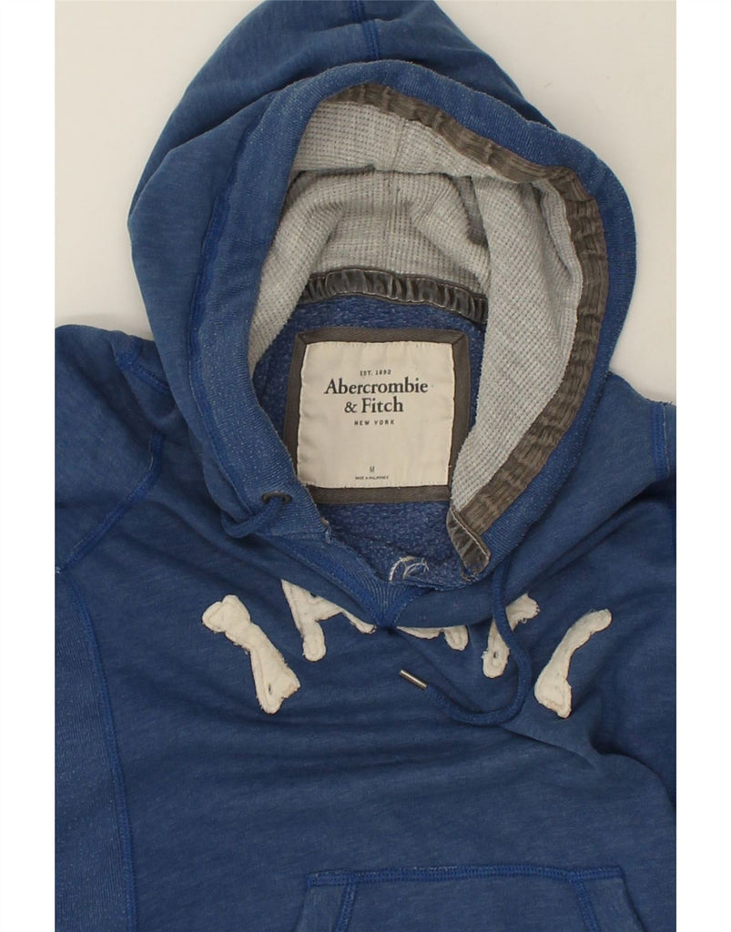 ABERCROMBIE & FITCH Womens Graphic Hoodie Jumper UK 14 Medium Blue Cotton | Vintage Abercrombie & Fitch | Thrift | Second-Hand Abercrombie & Fitch | Used Clothing | Messina Hembry 