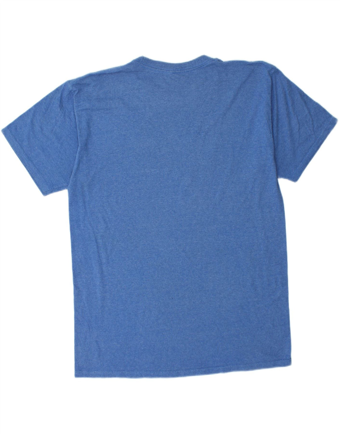 VANS Mens Graphic T-Shirt Top Large Blue Cotton