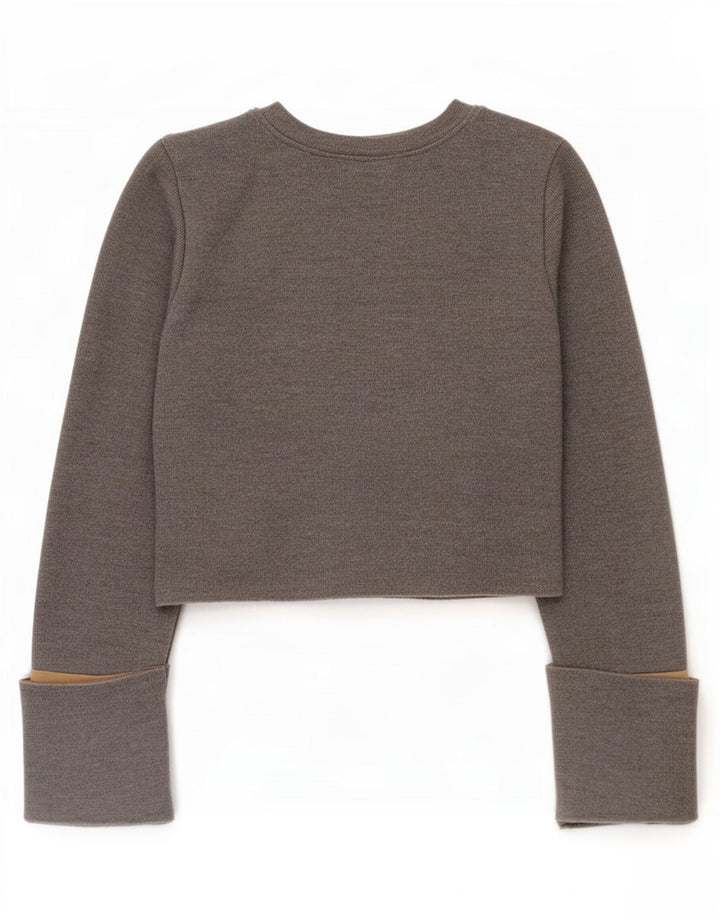 Zara Womens Crop Top Long Sleeve UK 10 Small Grey