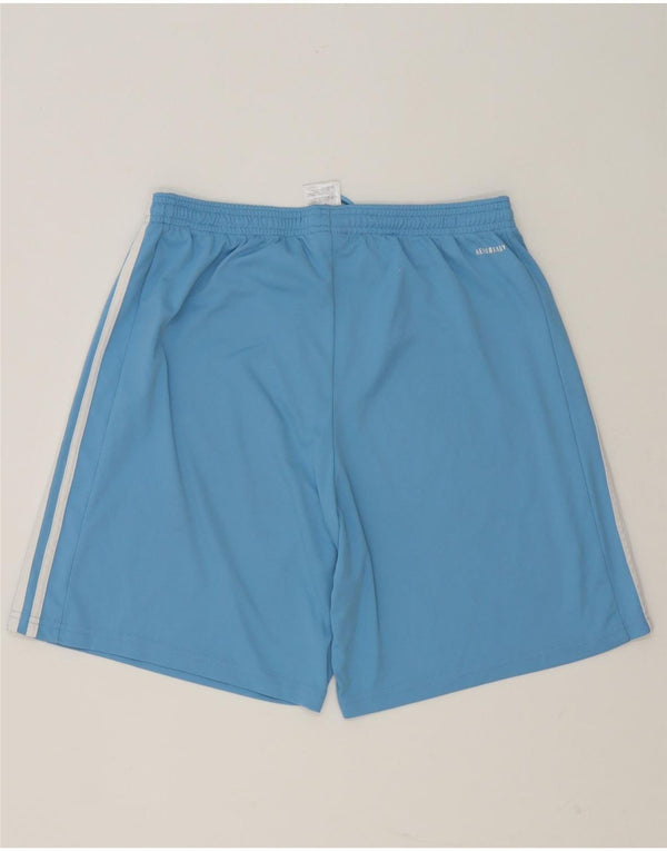 Adidas Mens Tsv Werdohl 1989 Graphic Sport Shorts Large Blue Polyester
