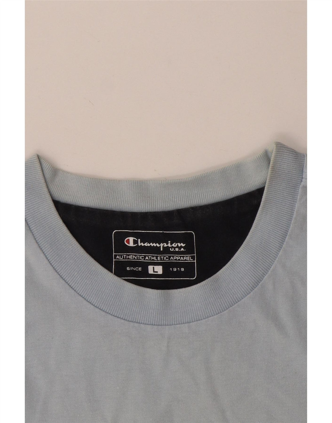 Champion Mens Graphic T-Shirt Top Large Blue