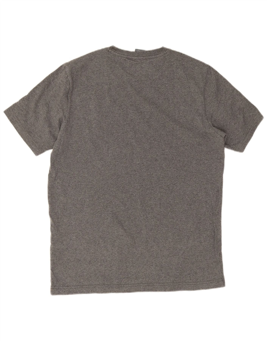 Champion Mens T-Shirt Top Large Grey