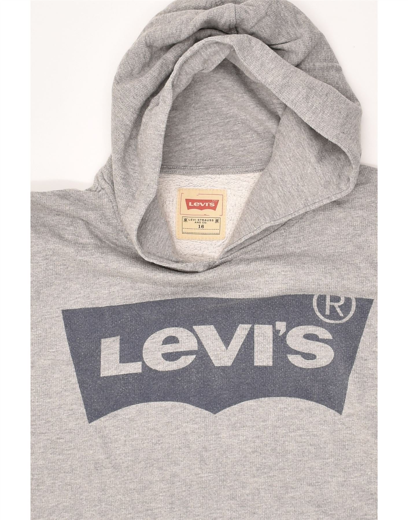 Levi 2024 grey jumper