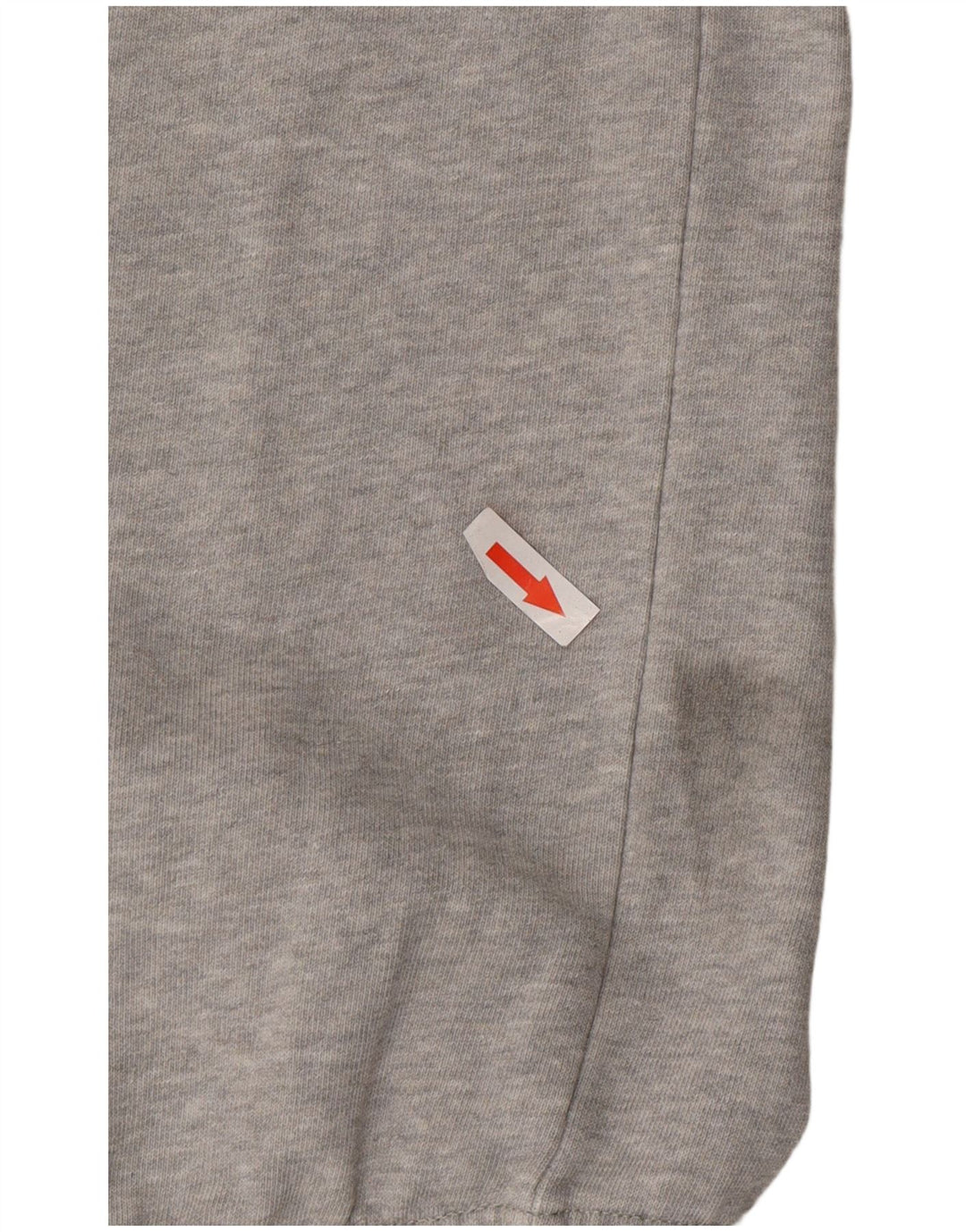 Champion Mens Tracksuit Trousers Joggers Large  Grey