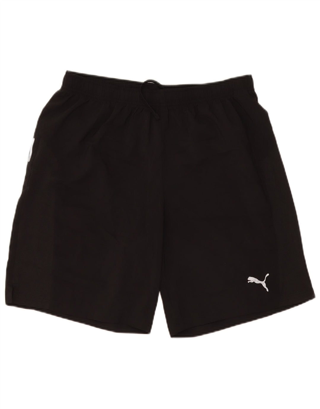 Puma Mens Sport Shorts Large Black