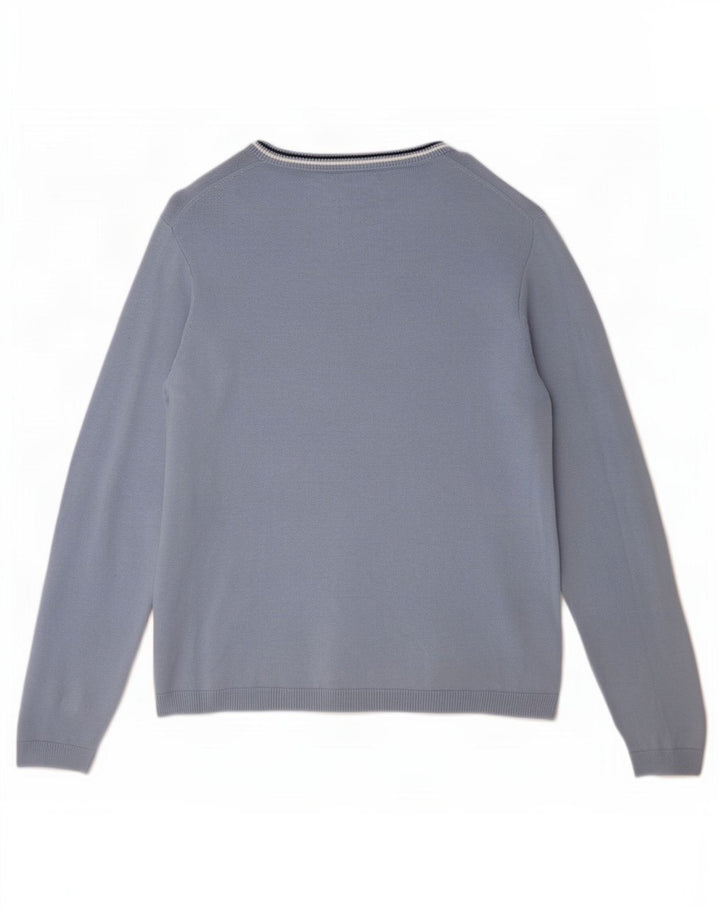 Gap Mens V-Neck Jumper Sweater XS Blue Cotton