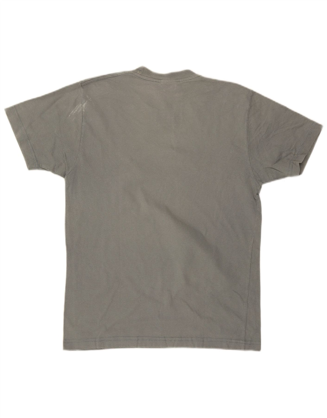 CHAMPION Mens T-Shirt Top Medium Blue Cotton