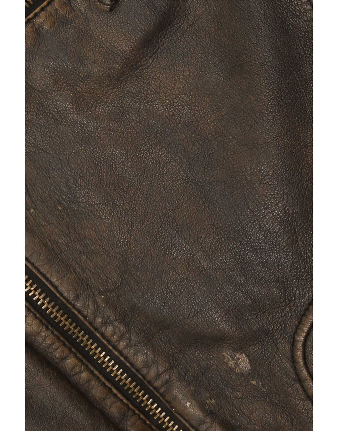Camel Active Mens Leather Racer Jacket IT 50 Large Brown