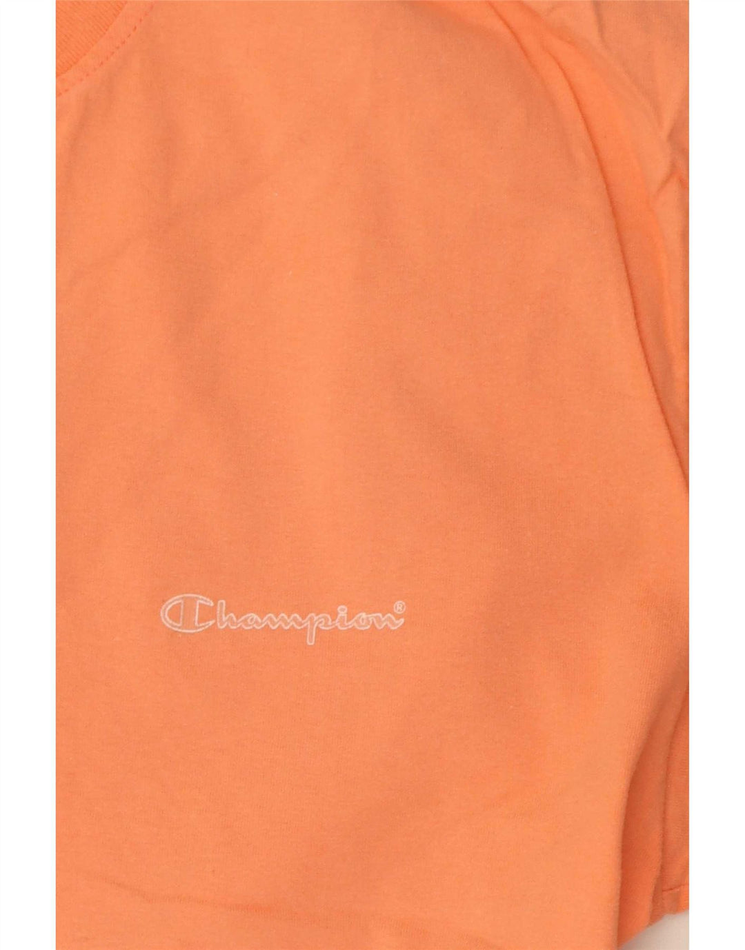 Champion Mens T-Shirt Top Medium Orange