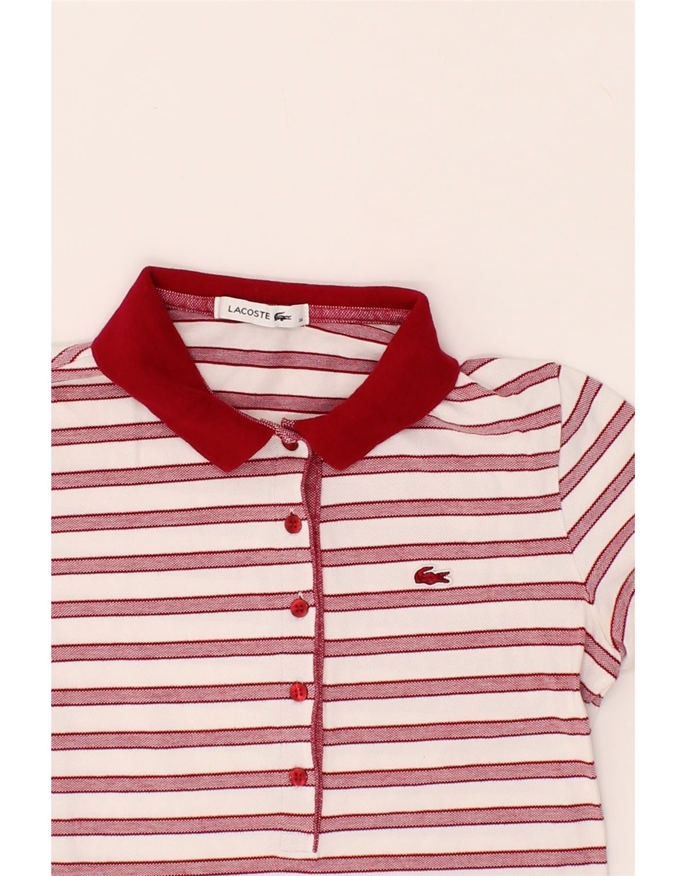 Polo rosa lacoste best sale