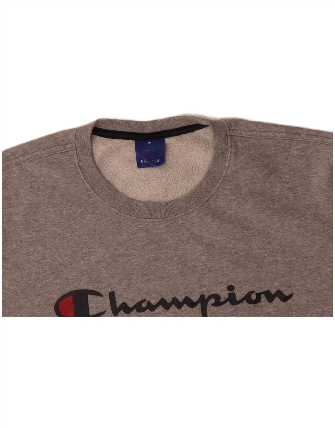 CHAMPION Mens Graphic Sweatshirt Jumper Medium Grey Cotton