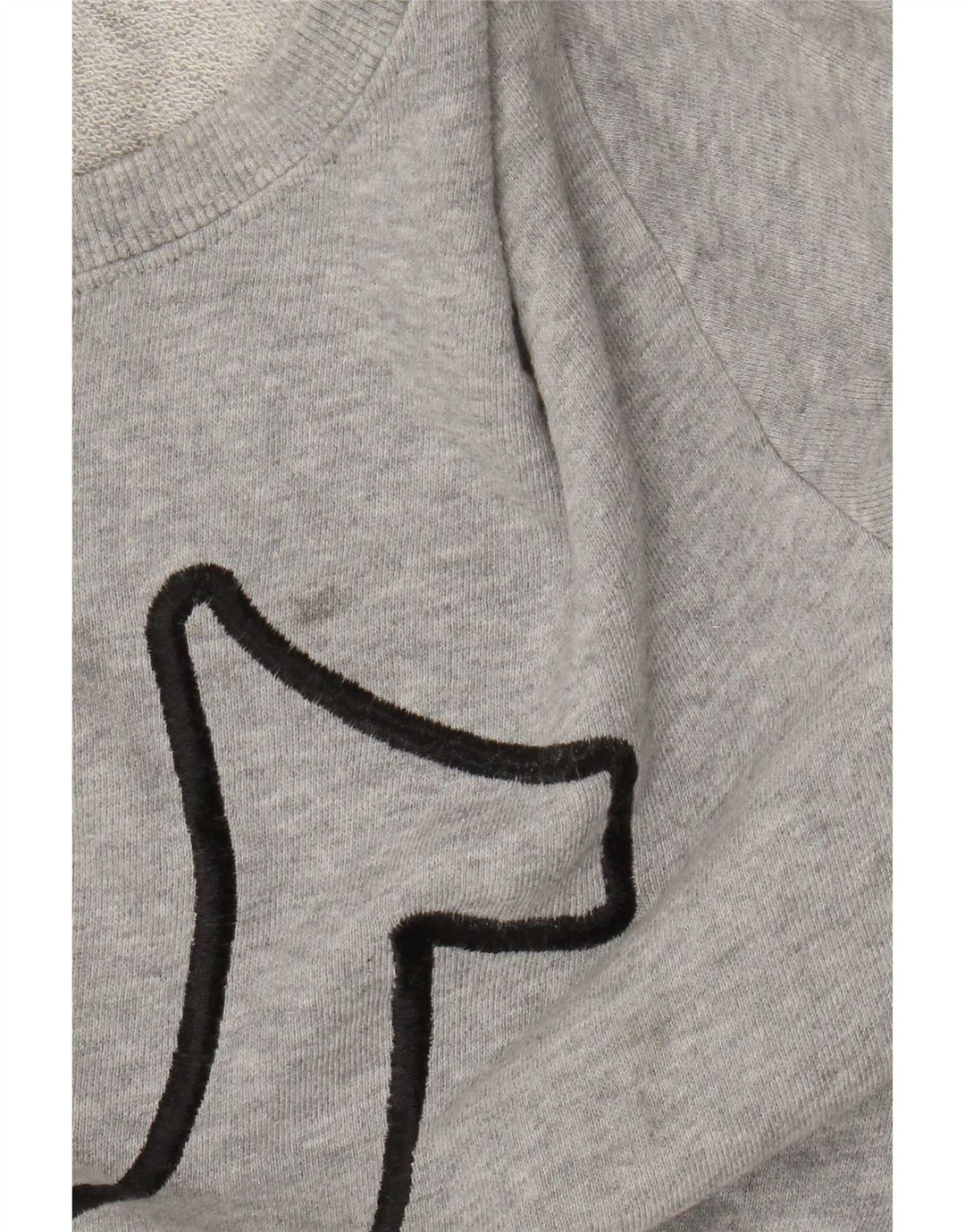 True Religion Boys Graphic Sweatshirt Jumper 13-14 Years Large Grey Cotton