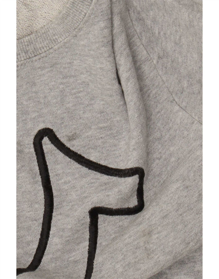 True Religion Boys Graphic Sweatshirt Jumper 13-14 Years Large Grey Cotton