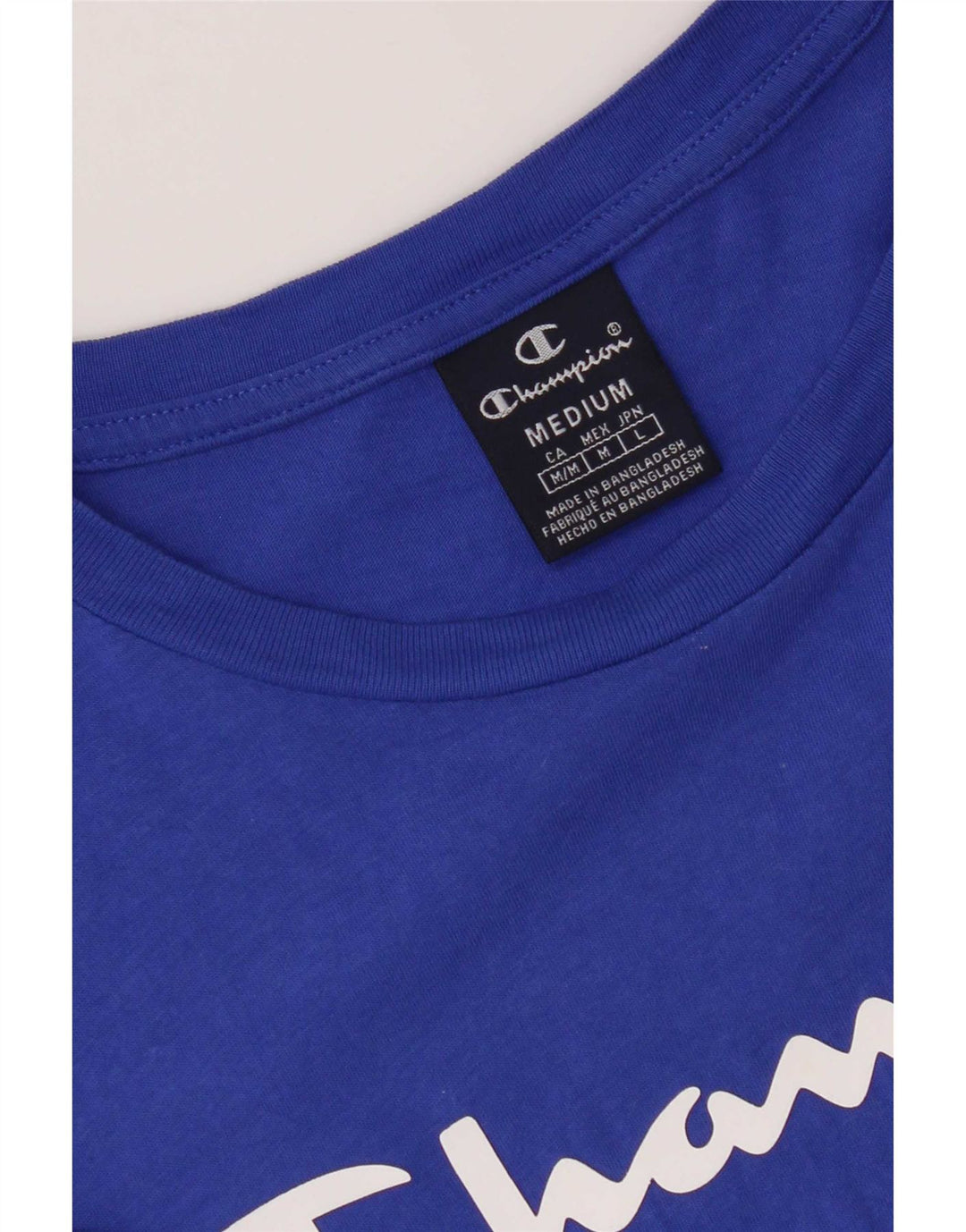 Champion Mens Graphic T-Shirt Top Medium Blue
