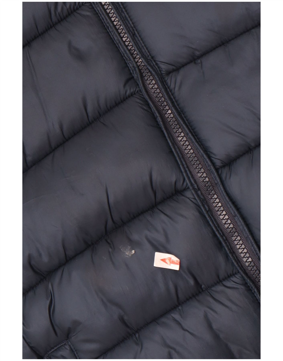 Champion Girls Hooded Padded Jacket 11-12 Years Large Navy Blue Polyester