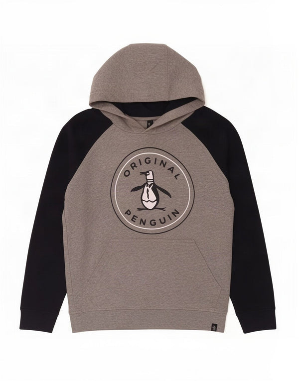 Penguin Boys Graphic Hoodie Jumper 9-10 Years Grey Colourblock Cotton