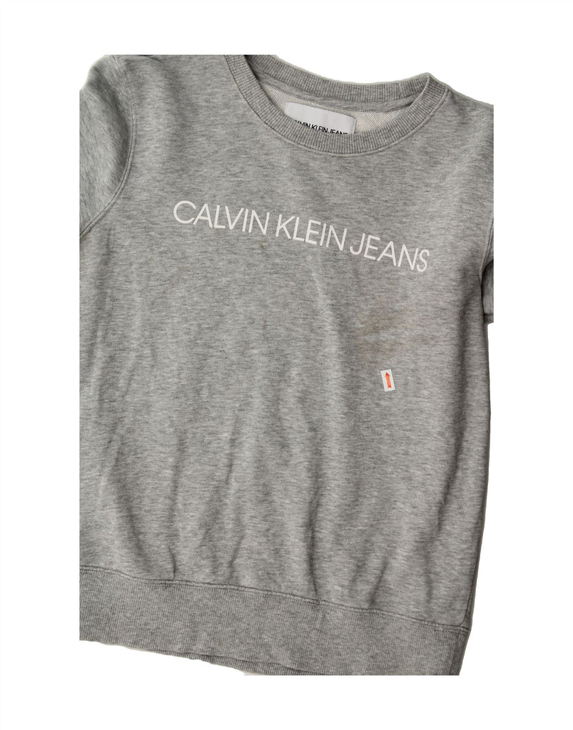 CALVIN KLEIN JEANS Womens Graphic Sweatshirt Jumper UK 10 Small Grey Vintage Calvin Klein Jeans and Second-Hand Calvin Klein Jeans from Messina Hembry 