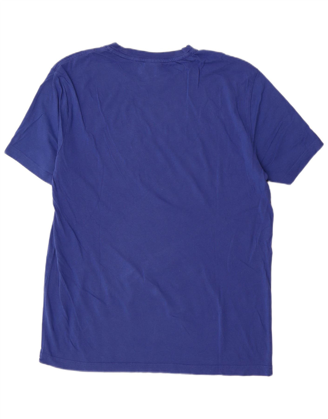 Champion Mens Graphic T-Shirt Top XL Blue