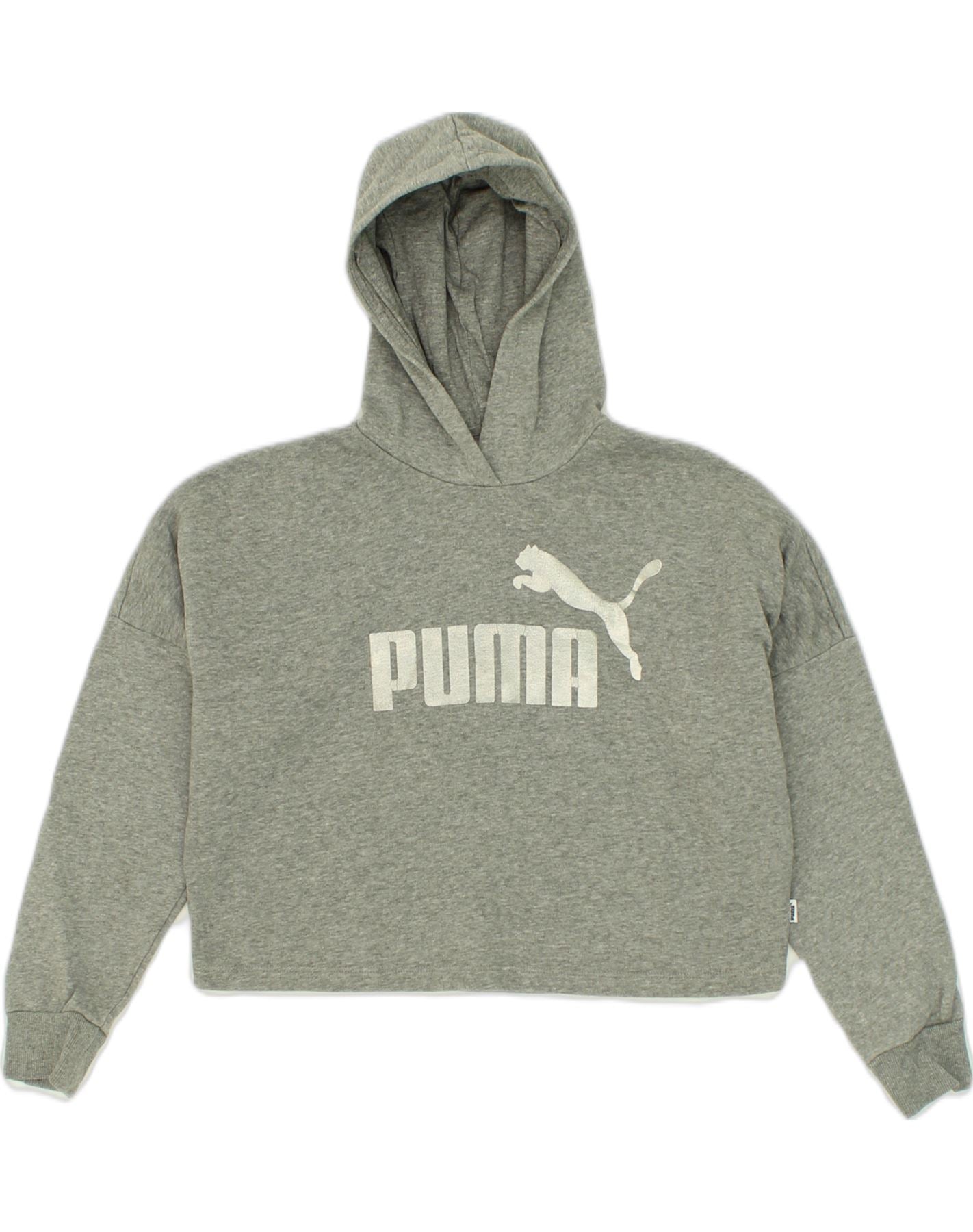 Girls grey 2024 puma hoodie