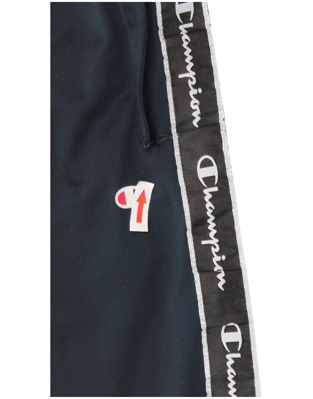 Champion Mens Graphic Tracksuit Trousers Joggers Large  Navy Blue Polyester