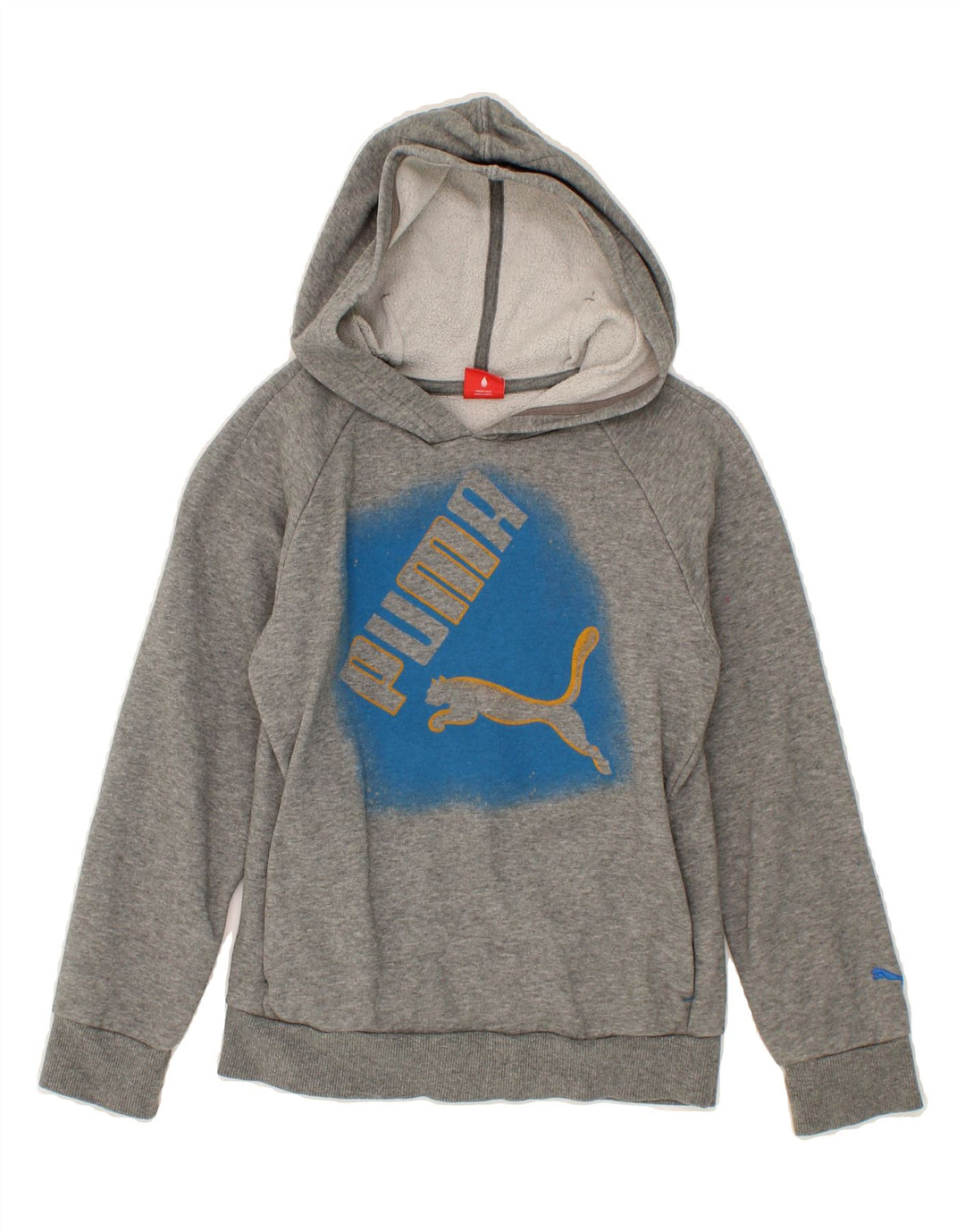 PUMA Boys Graphic Hoodie Jumper 9-10 Years Medium  Grey Cotton Vintage Puma and Second-Hand Puma from Messina Hembry 