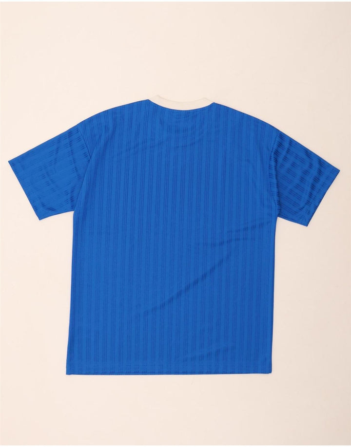 ADIDAS Mens Graphic T-Shirt Top Medium Blue Striped Polyester