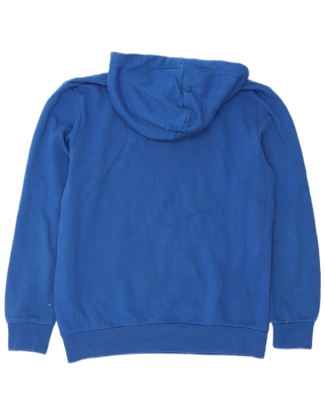 Asics Mens Graphic Hoodie Jumper Medium Blue Cotton