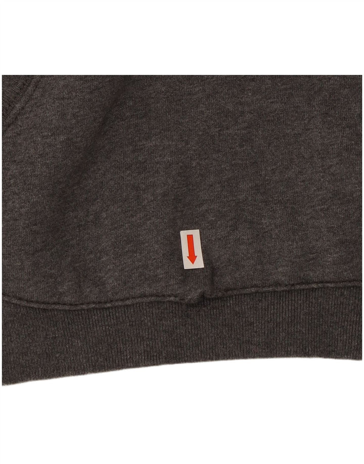 Napapijri Mens Graphic Hoodie Jumper Medium Grey