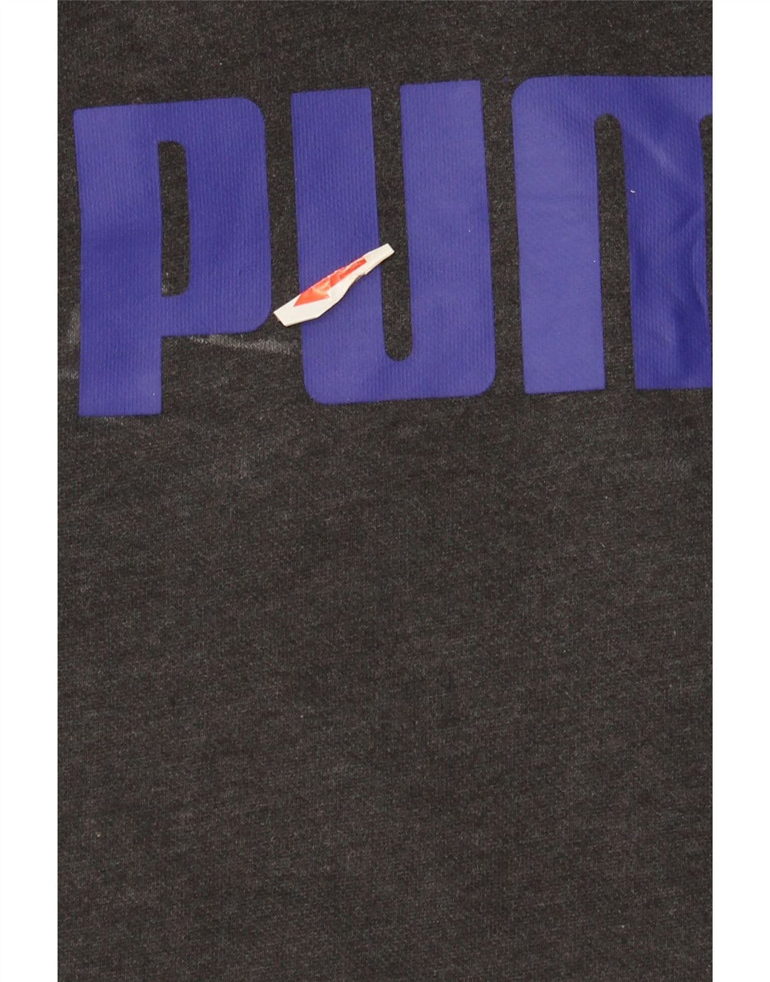 Puma Mens Graphic Hoodie Jumper Large Grey