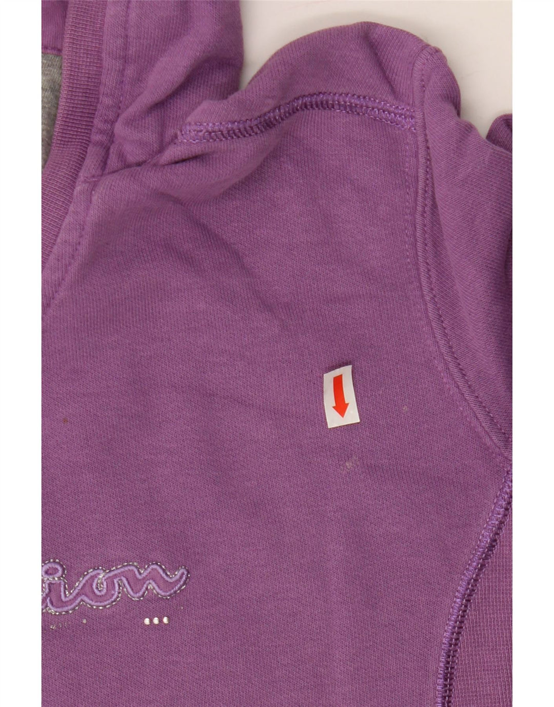 CHAMPION Womens Heritage Classics Hoodie Jumper UK 14 Medium Purple