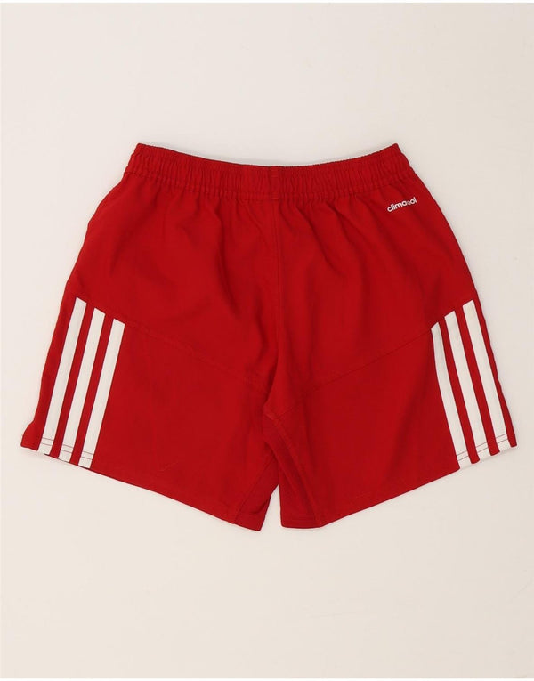 Adidas Womens Climacool Graphic Sport Shorts UK 8 Small Red Polyester