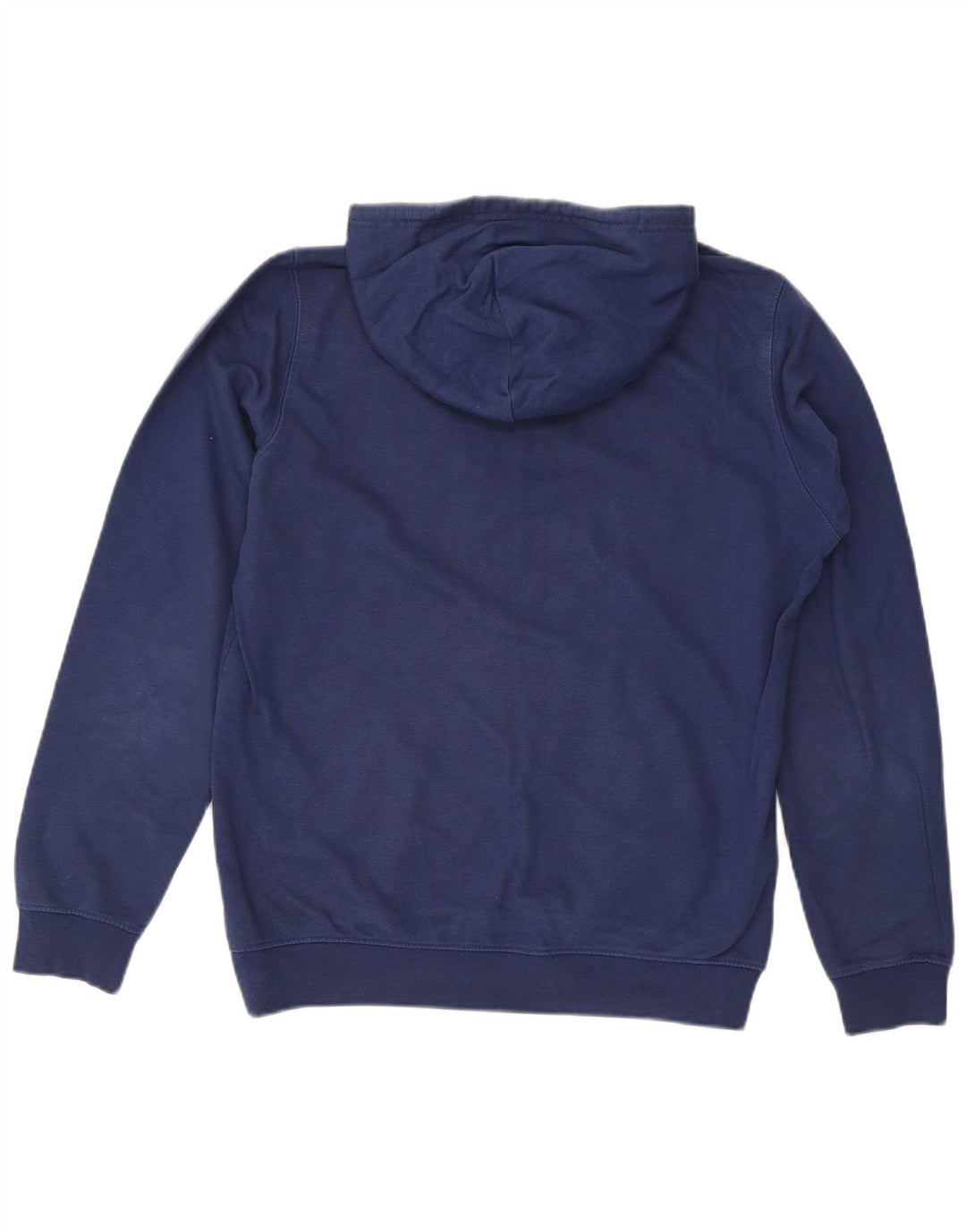 Champion Mens Graphic Hoodie Jumper Medium Navy Blue