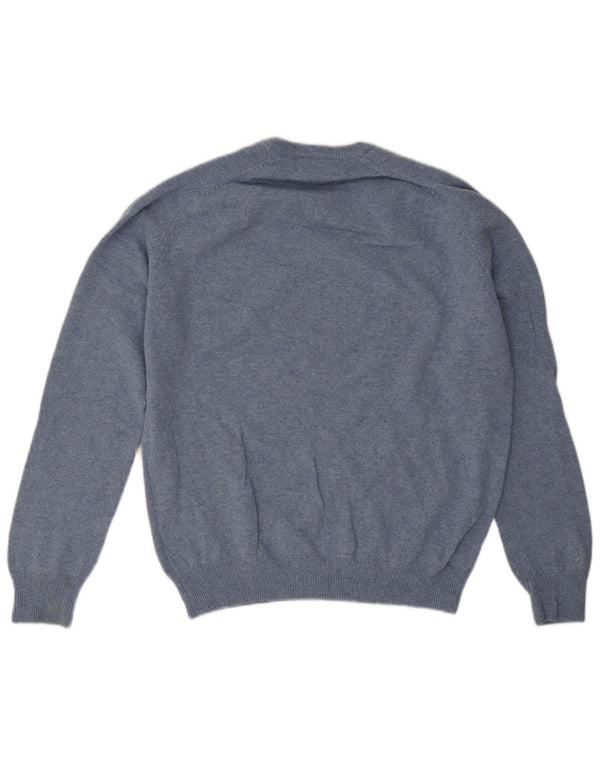 Marks & Spencer Mens Regular Fit V-Neck Jumper Sweater Medium Blue Wool