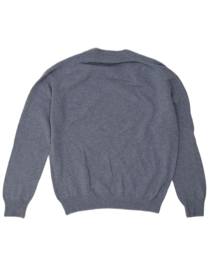 Marks & Spencer Mens Regular Fit V-Neck Jumper Sweater Medium Blue Wool