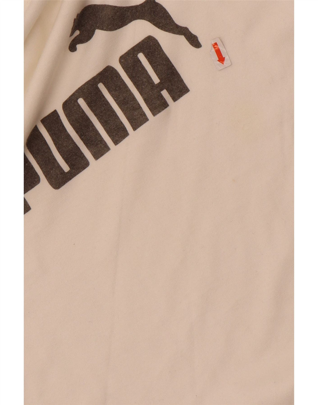 Puma Mens Graphic Top Long Sleeve Small White