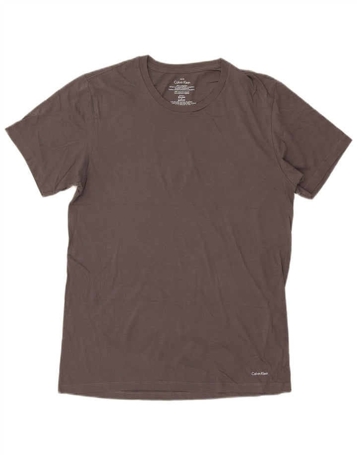 Calvin Klein Mens Graphic T-Shirt Top Medium Grey Cotton
