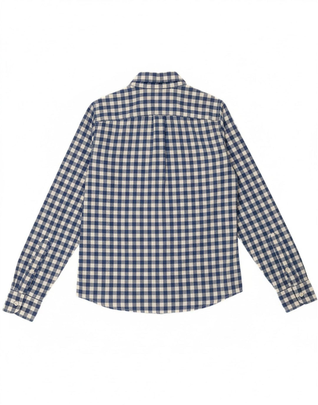 HOLLISTER Mens Shirt Small Blue Gingham Cotton