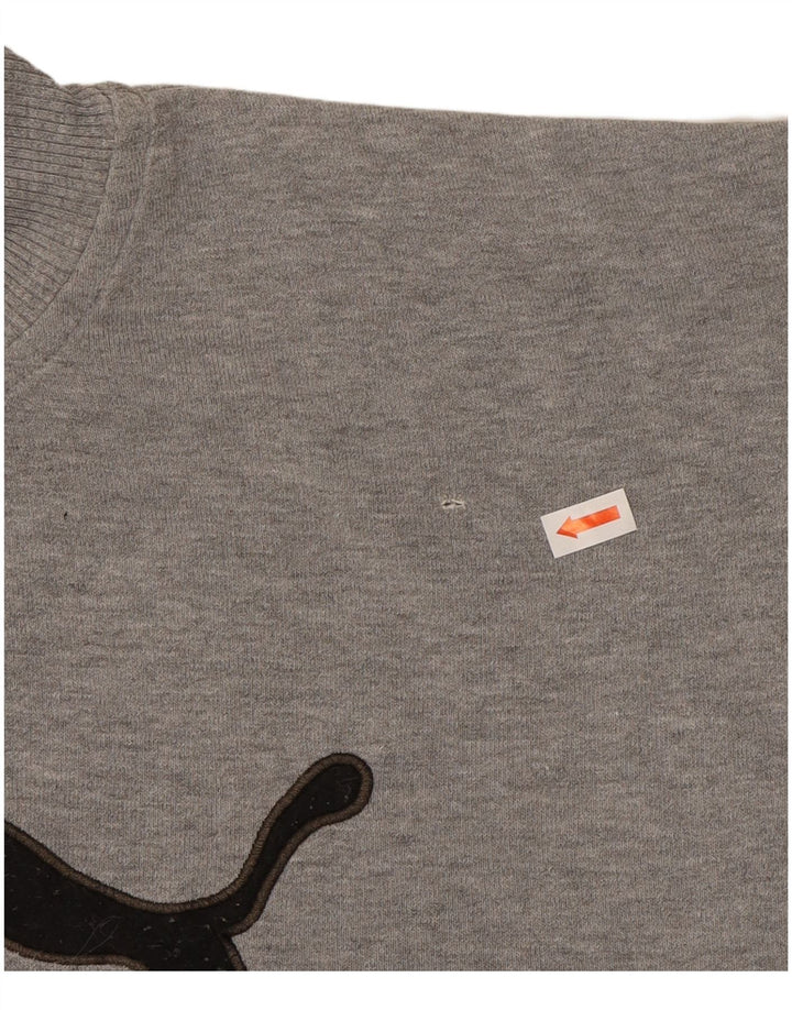 PUMA Mens Graphic Sweatshirt Jumper Medium Grey
