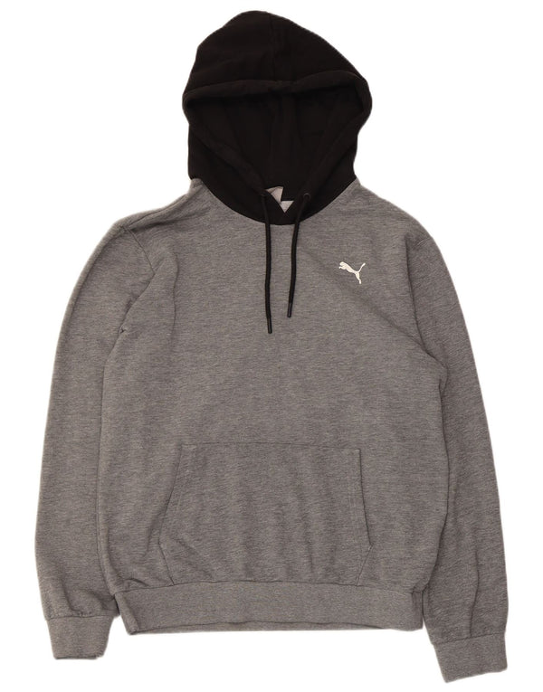 Puma Mens Graphic Hoodie Jumper Small Grey Colourblock Cotton
