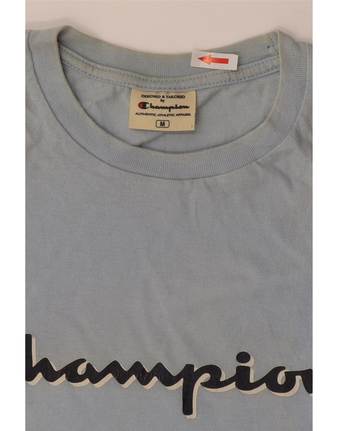 Champion Mens Graphic T-Shirt Top Medium Blue Striped Cotton