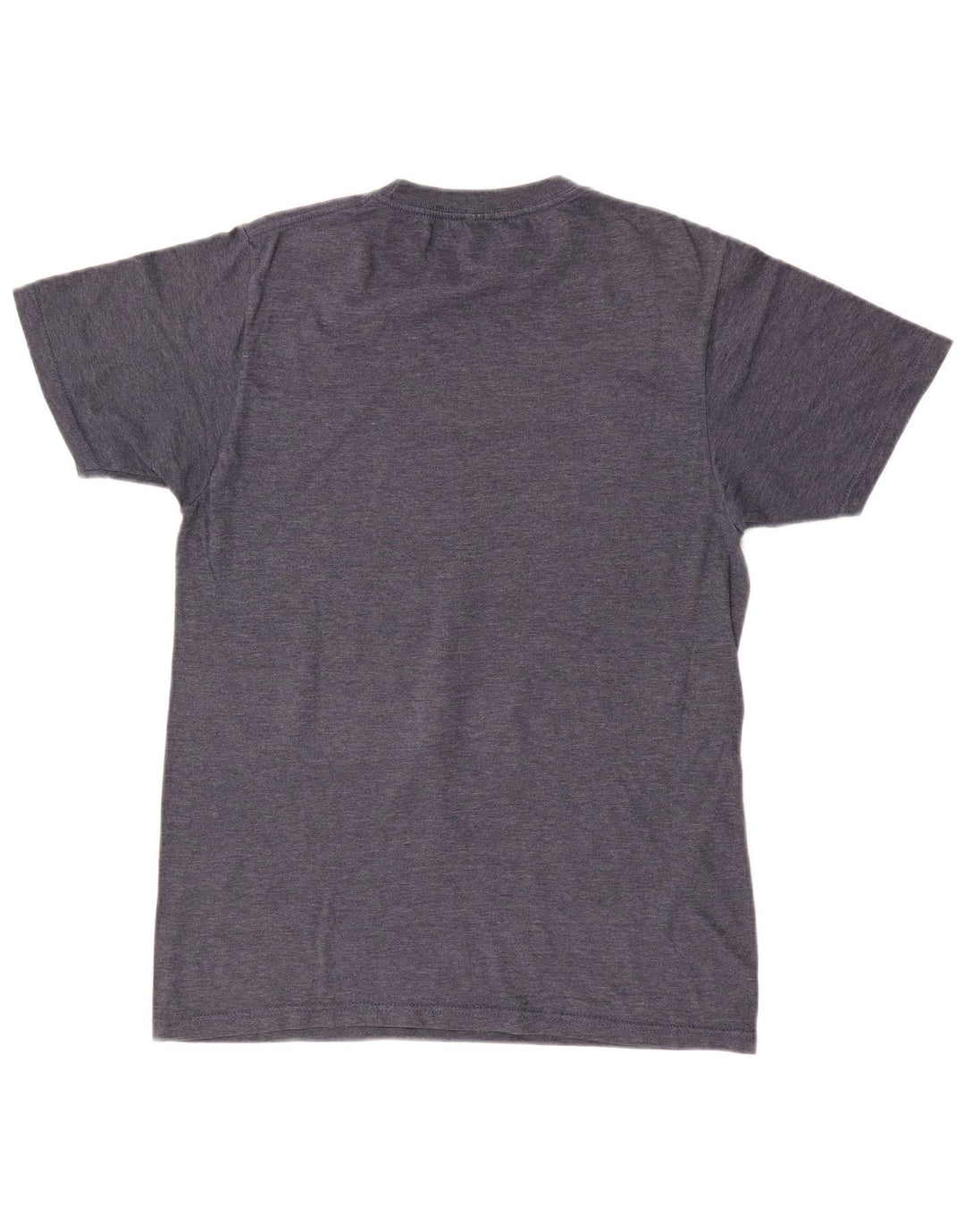 O'Neill Mens Modern Fit Graphic T-Shirt Top Small Grey Cotton